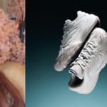 Photo collage of Angel Reese and her signature shoe.