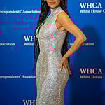 2019 White House Correspondents Dinner Arrivals