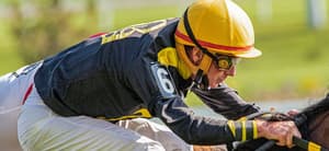 Jockey on a horse