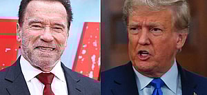 Arnold Schwarzenegger, Donald Trump photo collage