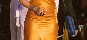 Rihanna and Prince Charles in Barbados