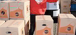 Distribution of 2 000 free meals courtesy of HollyGold