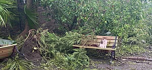 Ernest Hemingway House