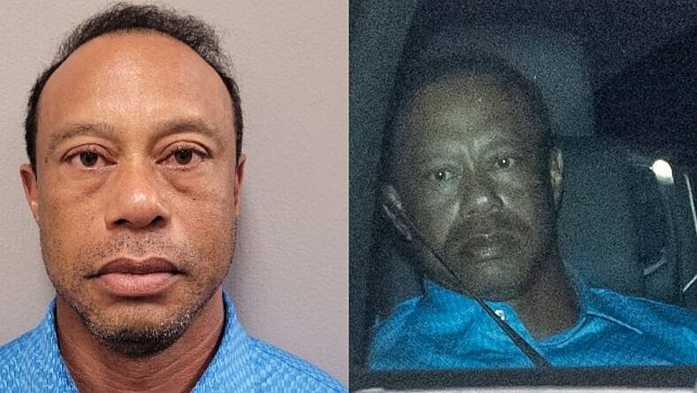 Tiger Woods photo collage