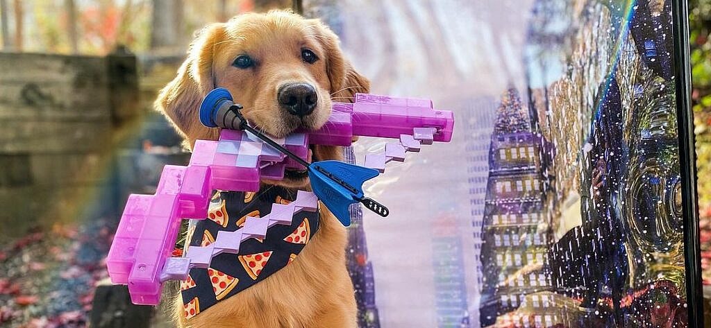 Lucky the Pizza Dog from Hawkeye