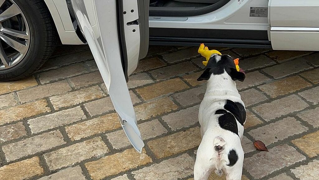 Dwayne Johnson and his dog Hobbs