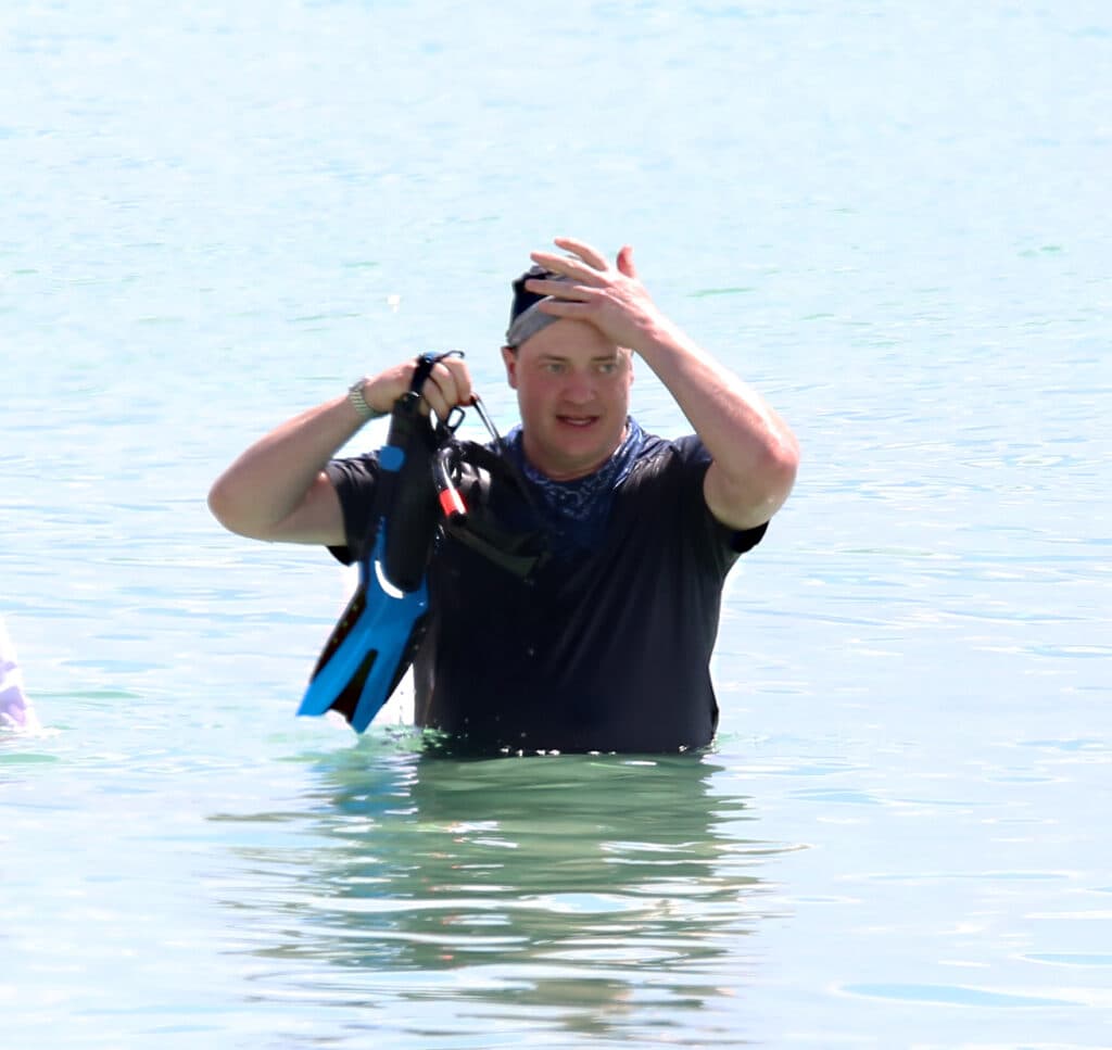 Brendan Fraser is back in Hollywood