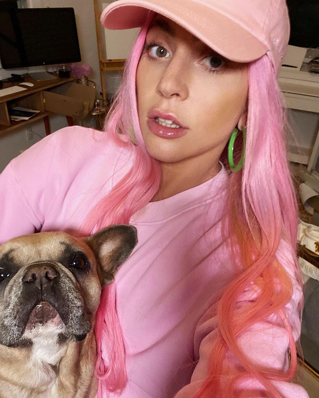 Lady Gaga French bulldog 5