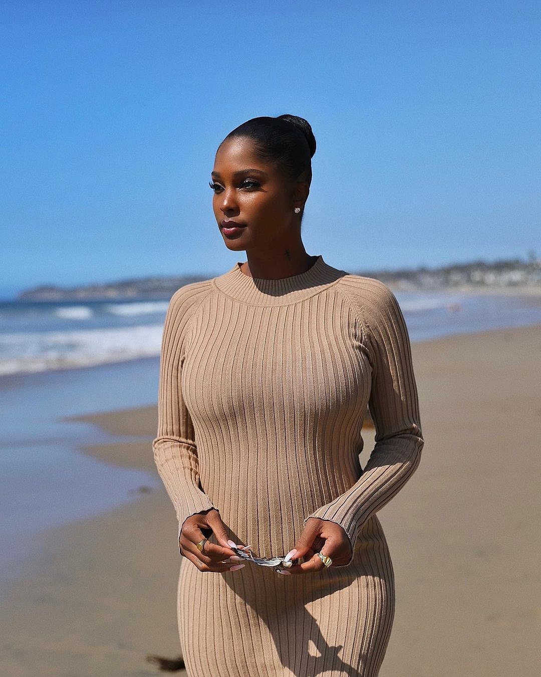 LaNisha Cole's post on her Instagram page