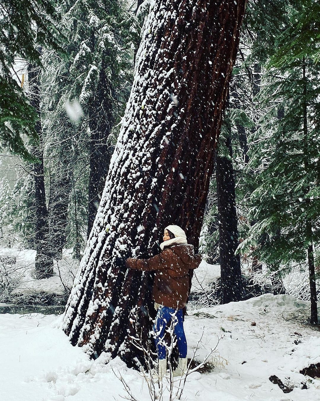 Sarah Hyland's New Year celebration