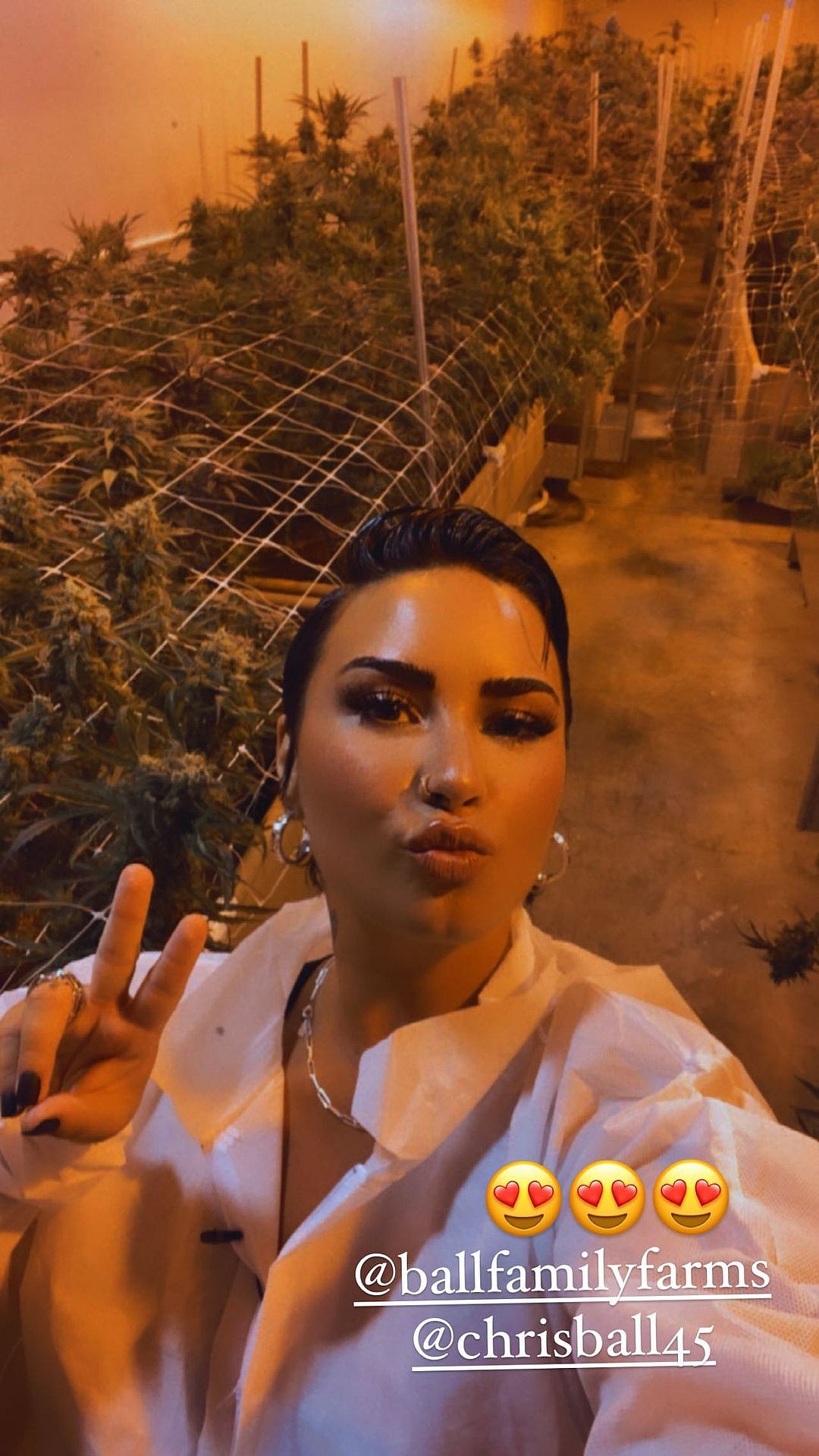 Demi Lovato Shares Video Smoking Weed, 'I'm California Sober!'
