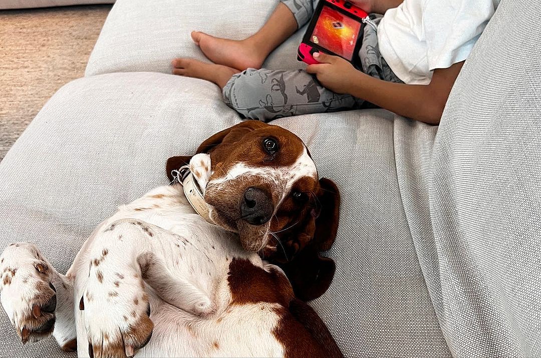 Chrissy Teigen and John Legend's Son Miles and Their Pup