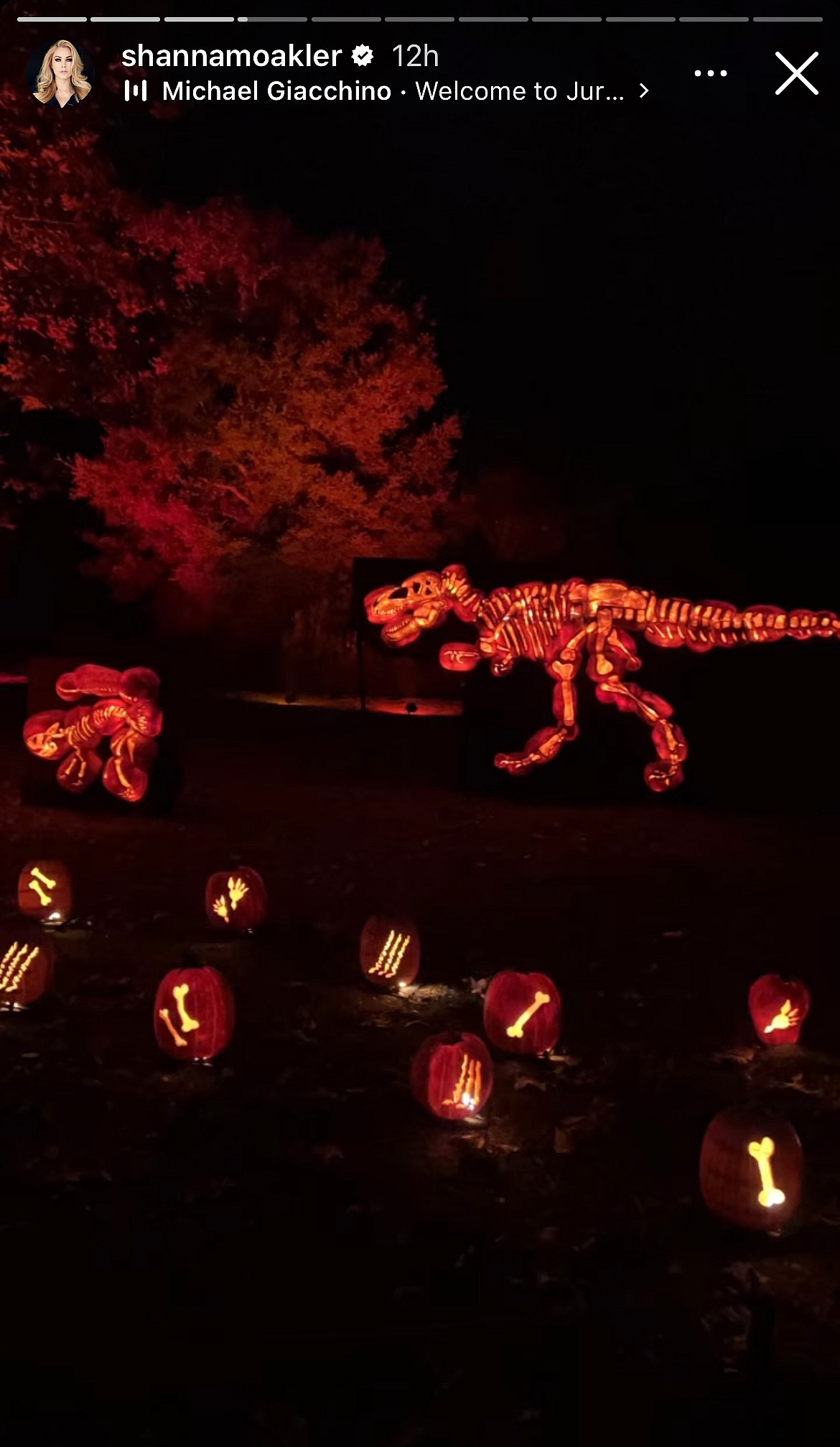 Shanna Moakler's post on her Instagram story