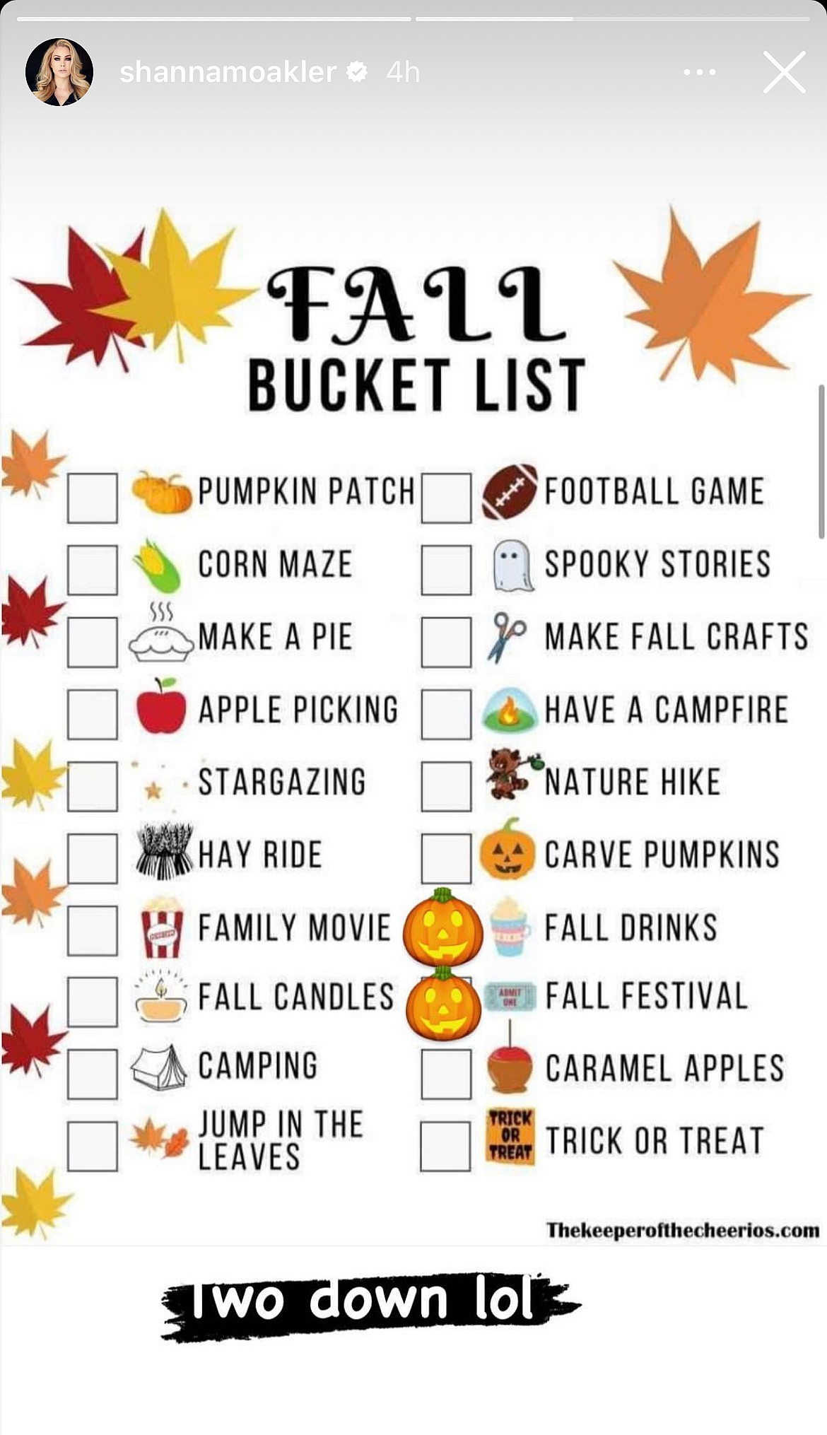 Shanna Moakler's post on her Instagram story