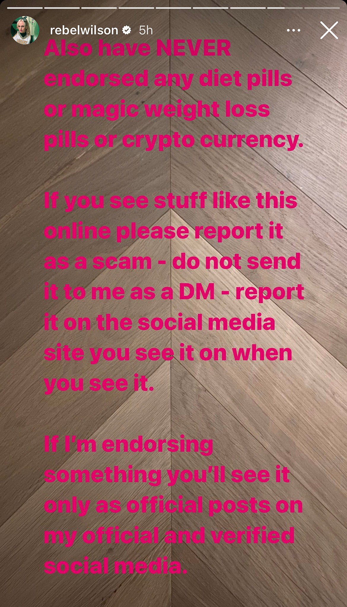 Rebel Wilson's post on her Instagram story