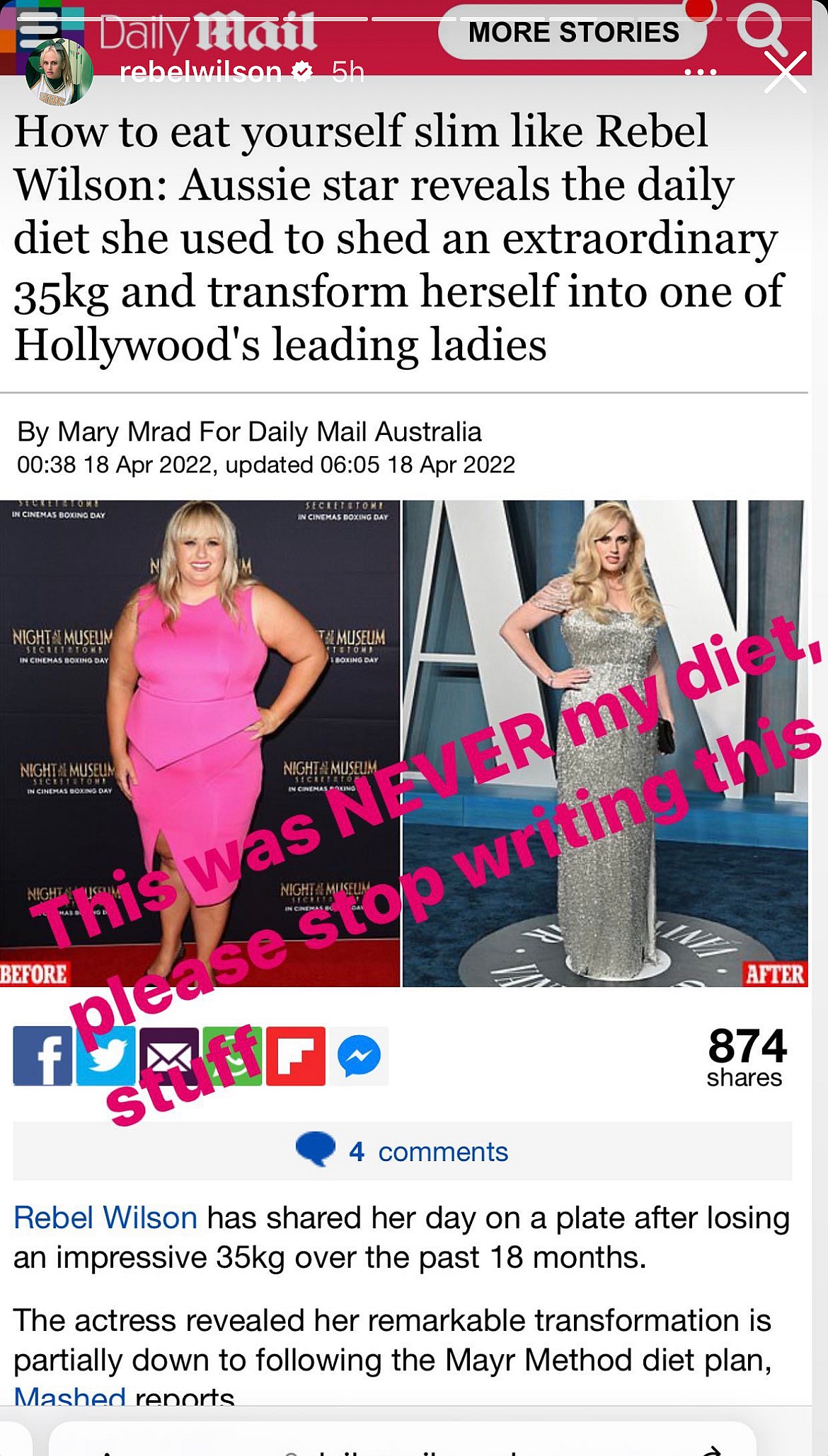 Rebel Wilson's post on her Instagram story