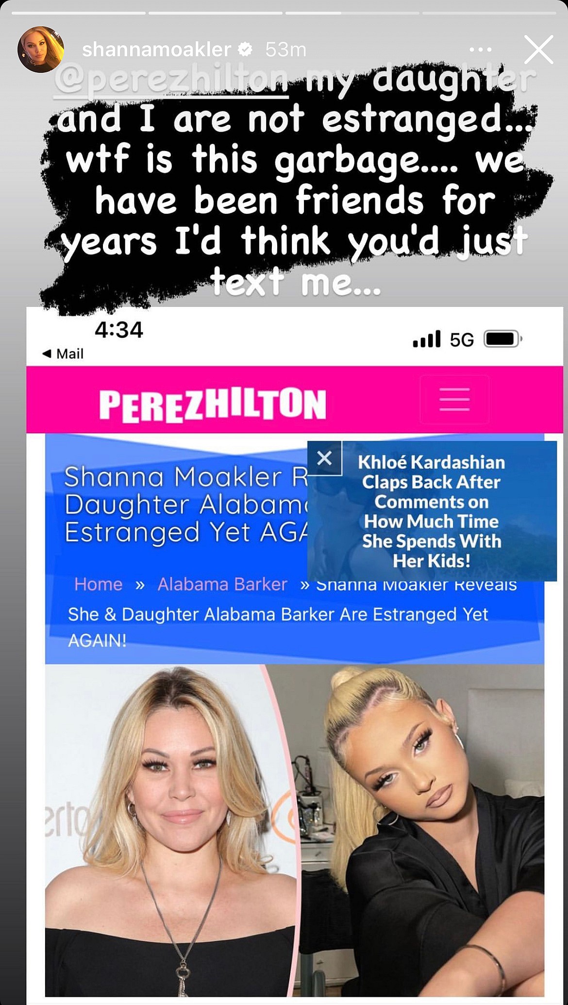 Shanna Moakler's post on her Instagram story