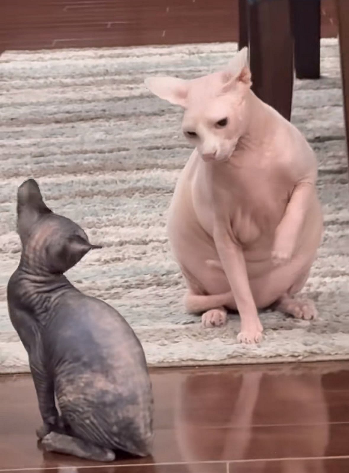 Nakee Minaj and Nudacris