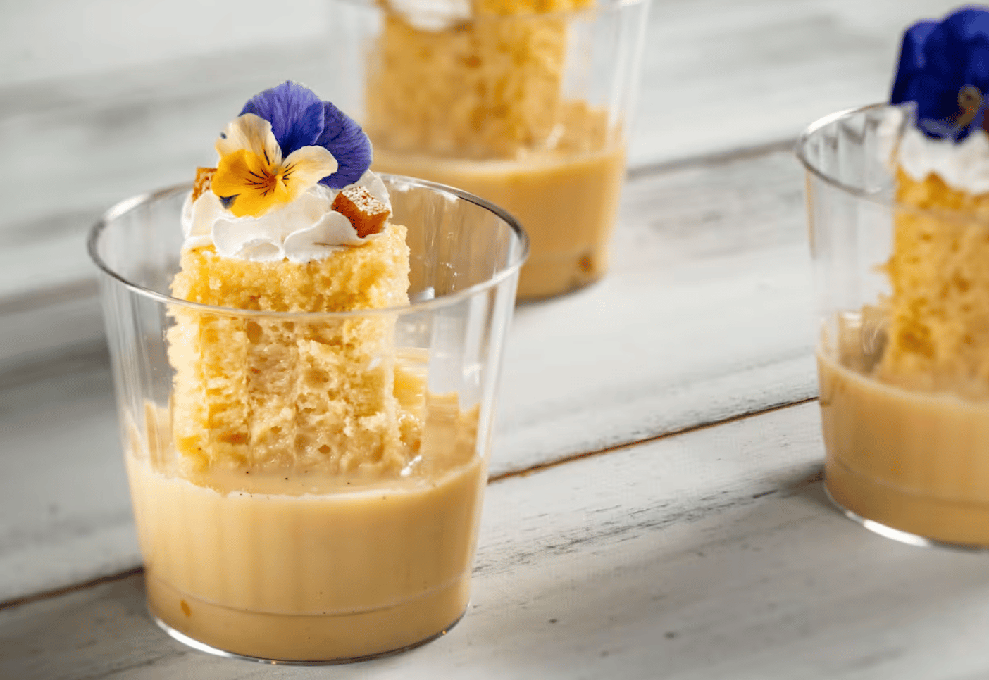 Full Menus Released For EPCOT's Popular Food And Wine Festival