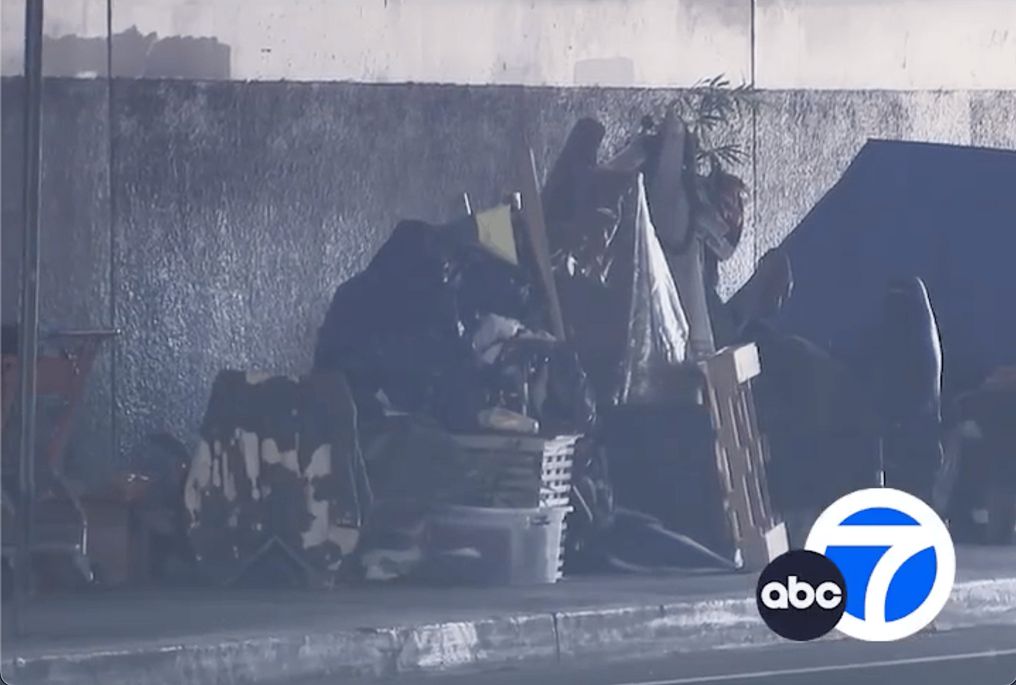 Dog Is 'Completely Out Of It' After Ingesting Cocaine In Los Angeles Park