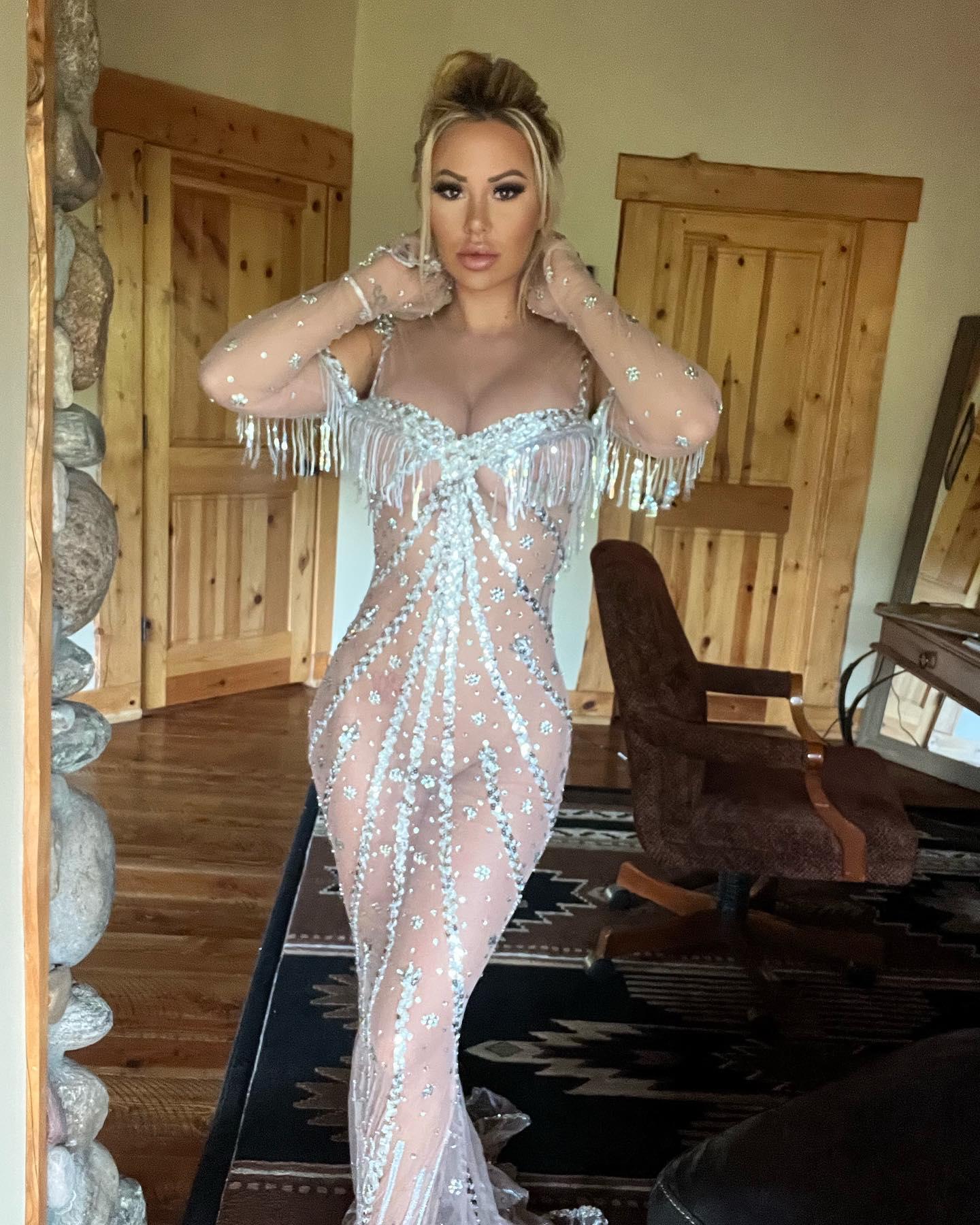 Kindly Myers poses in a see-through gown