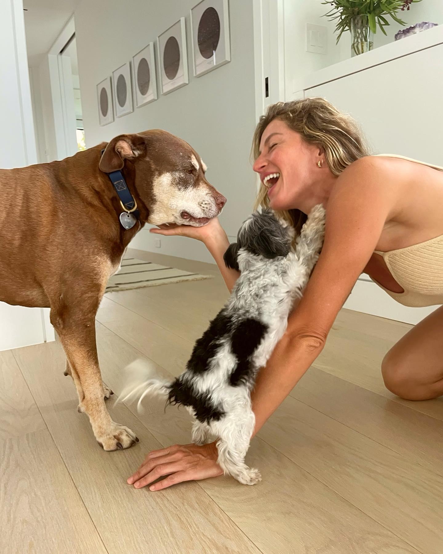 Gisele Bündchen spends her first Valentine's Day without Tom Brady with her dogs