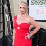 Britney Spears Battles Over $60 Million Estate