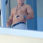 Mark Wahlberg shows off his muscles while waving shirtless from his South Beach hotel balcony
