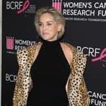 Sharon Stone's Nephew Hospitalized, On Life Support, With 'Total Organ Failure'