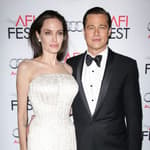 Brad Pitt Challenges Angelina Jolies' Victory In Child Custody Case
