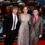 The original cast of Harry potter
