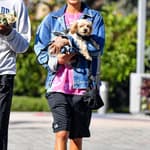 Willow Smith Holds Her Cute Lil Pooch Abby With Boyfriend De apos Wayne Jackson During A Grocery Store Run At Whole Foods In Malibu CA