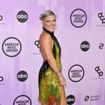 Pink 2022 American Music Awards in Los Angeles