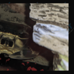 Howie the Crab Molted!