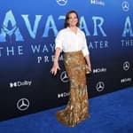 Avatar: The Way of Water Premiere
