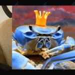 Howie Mandel and Howie the Crab