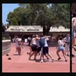 Brawl Breaks Out Between Guests At Walt Disney World