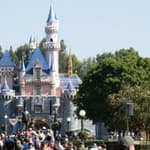 Guest Endangers Himself & Others After Breaking Rules On Space Mountain