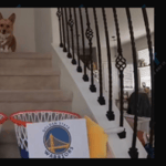 Corgi predicts NBA Playoff game winners