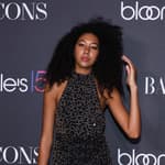 Aoki Lee Simmons