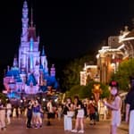 Disney Roller Coaster Under Investigation After Guests Become Trapped