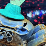 Howie the Crab