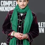 Timothée Chalamet at A Complete Unknown red carpet in Rome, Italy
