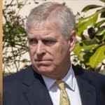 Jeffrey Epstein, Prince Andrew photo collage