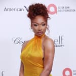 Megan Thee Stallion attends Elton John AIDS Foundation's 33rd Annual Academy Awards Viewing Party on March 02, 2025 in West Hollywood, California. Photo: Victorio/imageSPACE. 02 Mar 2025 Pictured: Megan Thee Stallion. Photo credit: C Victorio/imageSPACE / MEGA TheMegaAgency.com sales@mega.global (Mega Agency TagID: MEGA1278663_018.jpg) [Photo via Mega Agency]