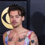 Harry Styles on the red carpet