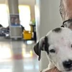 Jonathan Joss holding dog