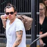 A photo collage of Harry Styles, Zoë Kravitz