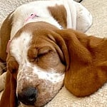 Chrissy Teigen and Pearl