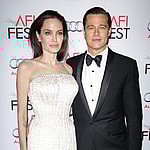 Brad Pitt Challenges Angelina Jolies' Victory In Child Custody Case